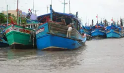ĐBSCL: Tàu cá… nằm bờ!