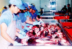 Công ty Thủy sản Hùng Vương xuất khẩu cá tra, basa sang Nga, Ukraine