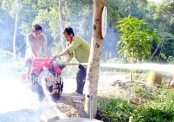 Rừng U Minh Hạ - Căng mình gác lửa ảnh 2