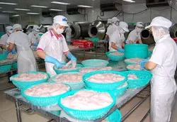 Chặn đà nhập siêu bằng giải pháp tổng lực ảnh 2