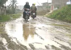 Đà Nẵng: Đường phố như đường... rừng!