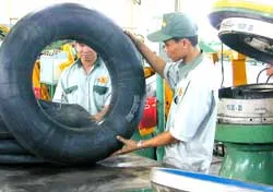Mở rộng thị trường xuất khẩu - Doanh nghiệp cần nhanh chân hơn ảnh 2