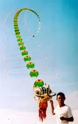 Nguyễn Thanh Vân: Nhà “Diều học”