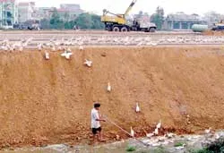 Đất nông nghiệp và nông dân trong “cơn lốc” đô thị hóa nông thôn - Bài 2: Nỗi lo của làng quê!