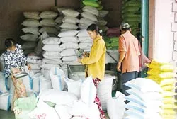 Gạo bán nhiều trên thị trường, thưa thớt người mua ảnh 2