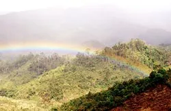 Trở lại Trường Sơn