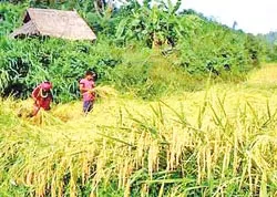 ASEAN sẵn sàng giải quyết vấn đề giá lương thực tăng cao