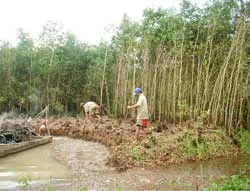 Đồng loạt “chém” tràm ảnh 3