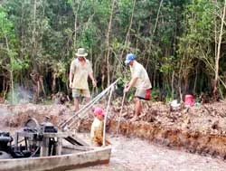 Đồng loạt “chém” tràm