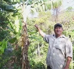 Về đồng cõng giống lên non