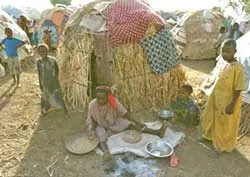 Mỹ và Australia: Nỗ lực viện trợ lương thực khẩn cấp