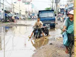 La liệt “ổ voi” nằm chờ… dự án