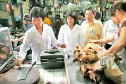 Vẫn đầy nguy cơ gây bệnh!