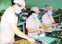 Bến Tre: 50/100 cơ sở sản xuất kẹo dừa ngưng hoạt động