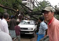 Cây ngã đè ô tô. (Ảnh Reuters)