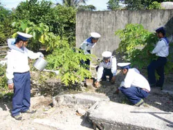 Tăng gia sản xuất trên đảo Nam Du