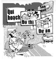 Không nên phá vỡ diện tích đất nông nghiệp
