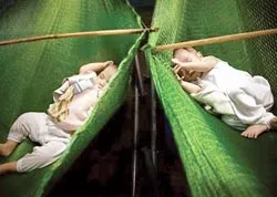 “Theo mô hình mới sẽ tự chủ hơn” ảnh 2