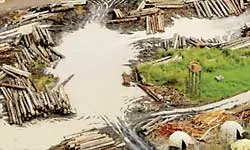 Brazil với kế hoạch mới bảo tồn rừng Amazon