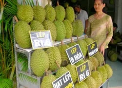 ĐBSCL: Sầu riêng đụng chợ, rớt giá