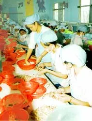 Quản lý và dạy nghề cho người sau cai nghiện: Kết quả không thể đo đếm