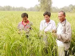 Tạo điều kiện tốt nhất cho sản xuất, kinh doanh
