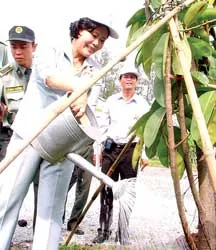 Tổ chức Tết trồng cây “Đời đời nhớ ơn Bác Hồ”