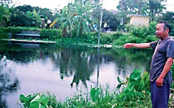 Hà Nam: Dân khốn khổ vì ô nhiễm