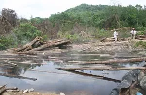 Lợi dụng dự án đầu tư, Công ty Đông Dương phá rừng suối Bang?