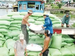 ĐBSCL: Thương nhân thiếu vốn, giá gạo tiếp tục giảm