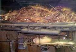 Mai Châu đối mặt với giáp hạt