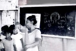 Năm 2008 - “Năm ngôn ngữ” của Liên hiệp quốc ảnh 3