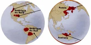 Năm 2008 - “Năm ngôn ngữ” của Liên hiệp quốc