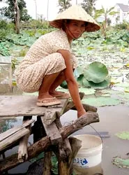 Ở nội thành vẫn phải xài nước mương!