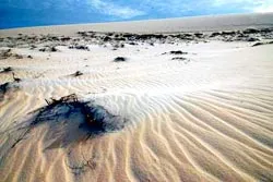 Duyên hải Nam Trung bộ đối mặt với hoang mạc hóa