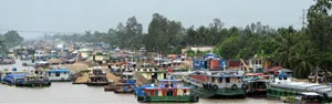 “Mất bò” vẫn chưa “làm chuồng”…