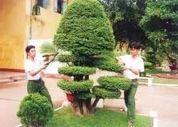 Tiết kiệm kiểu lính ảnh 2