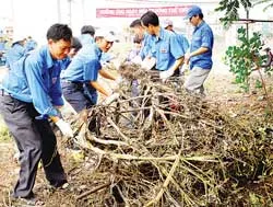 TPHCM hưởng ứng Ngày Môi trường thế giới: Tổ chức nhiều hoạt động thiết thực
