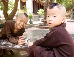 Những búp măng dưới bóng bồ đề