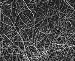 Sáng chế bọt biển nano hút dầu loang