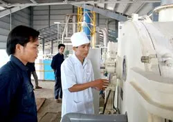 Vận hành nhà máy chế biến tinh bột sắn xuất khẩu 100 tấn/ngày