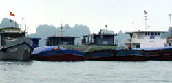 Quảng Ninh sau chủ trương dừng xuất khẩu than đường tiểu ngạch: Máy móc “đắp chiếu” chờ...