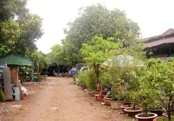 Giả mạo cả chỉ đạo của Thủ tướng để chiếm đất