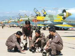 Bay trong nắng gió miền Trung ảnh 2