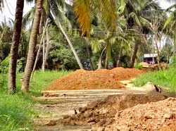 Dự án “rùa” do trụ  điện?