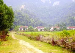 Quê mới của người Đan Lai