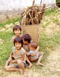 Quê mới của người Đan Lai ảnh 3