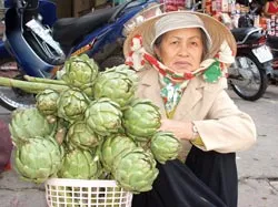 Atisô ở Đà Lạt, mai này có còn?