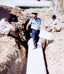 Đào đường tại TPHCM: Việc phải làm