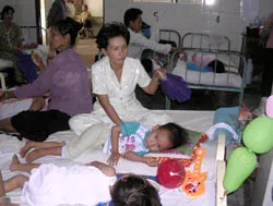 ĐBSCL không có kinh phí mua cá bảy màu diệt lăng quăng (!?)